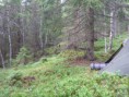 /album/a2016-06/p1000315-jpg/