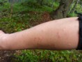 /album/a2016-06/p1000344-jpg/