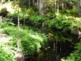 /album/a2016-06/p1000350-jpg/